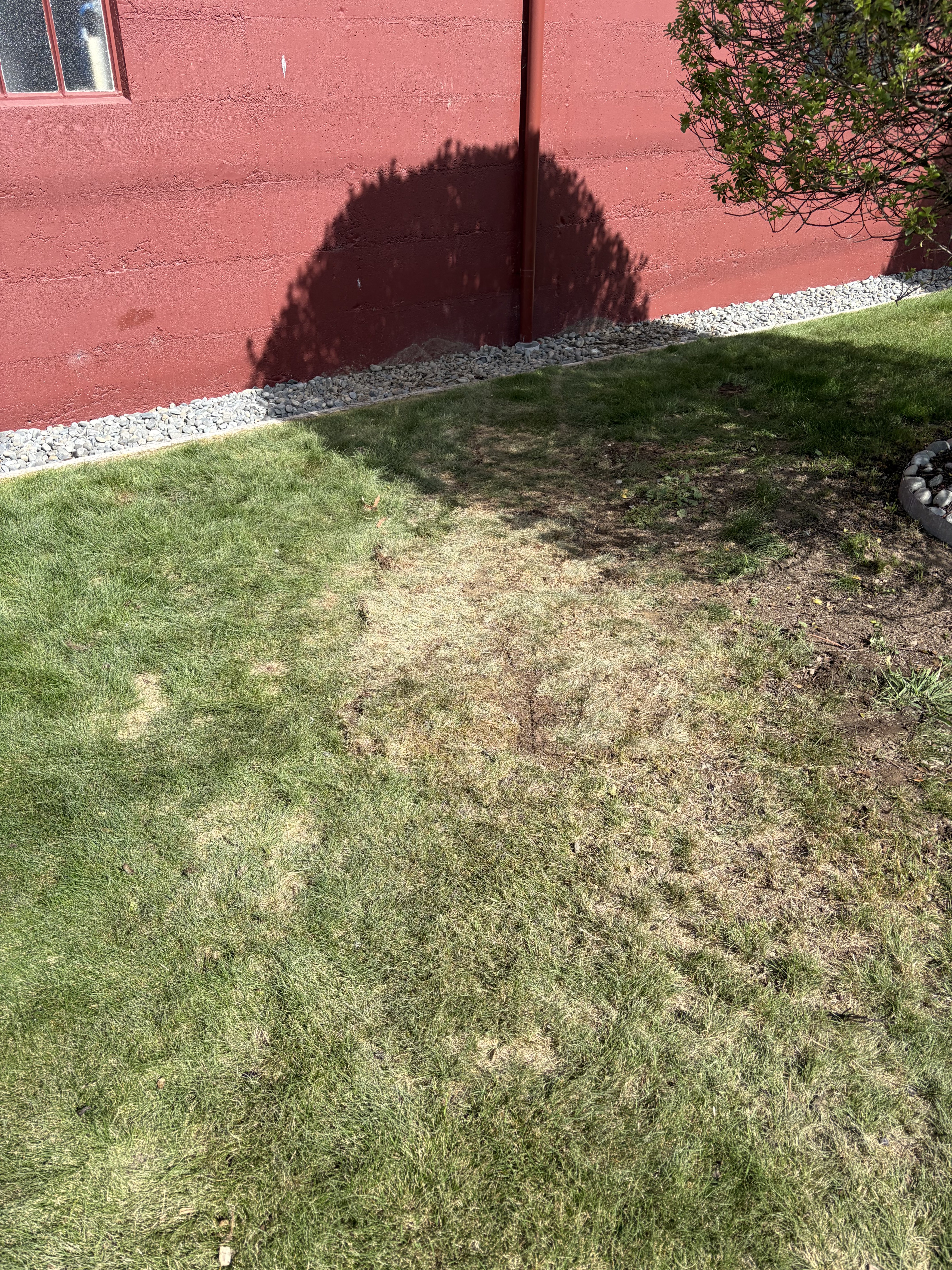 Drainage cleaning after